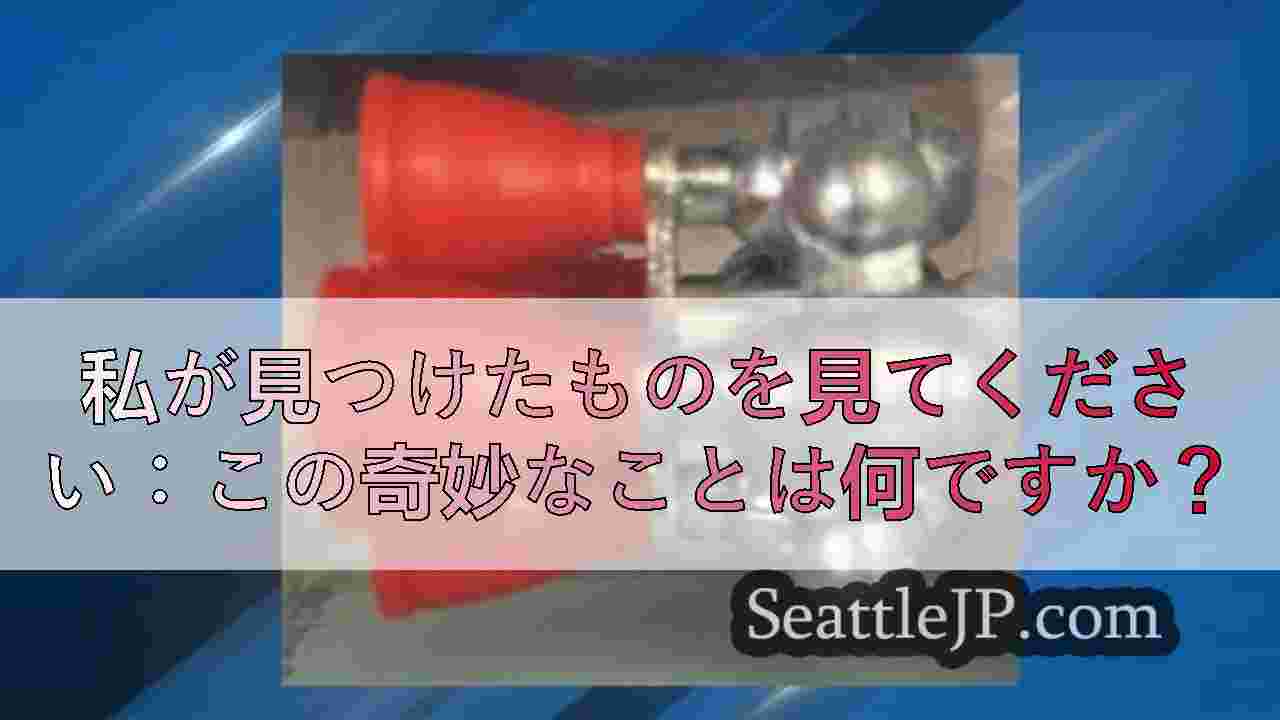 シアトルニュース SeattleJP