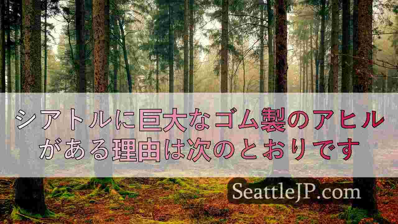 シアトルニュース SeattleJP