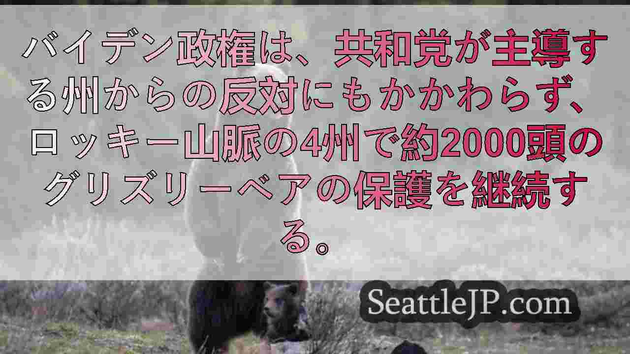 シアトルニュース SeattleJP