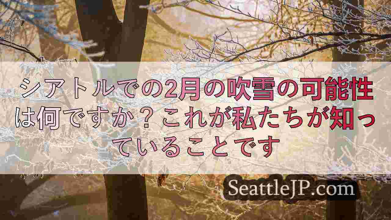 シアトルニュース SeattleJP