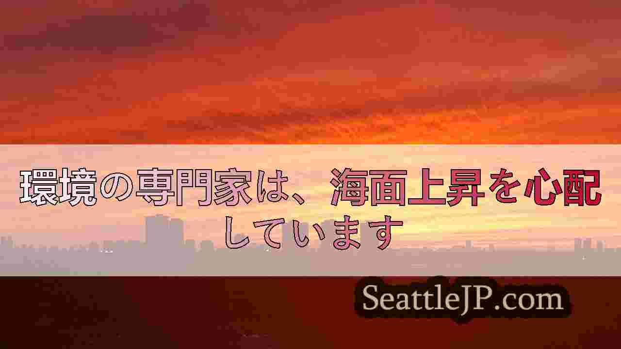 シアトルニュース SeattleJP
