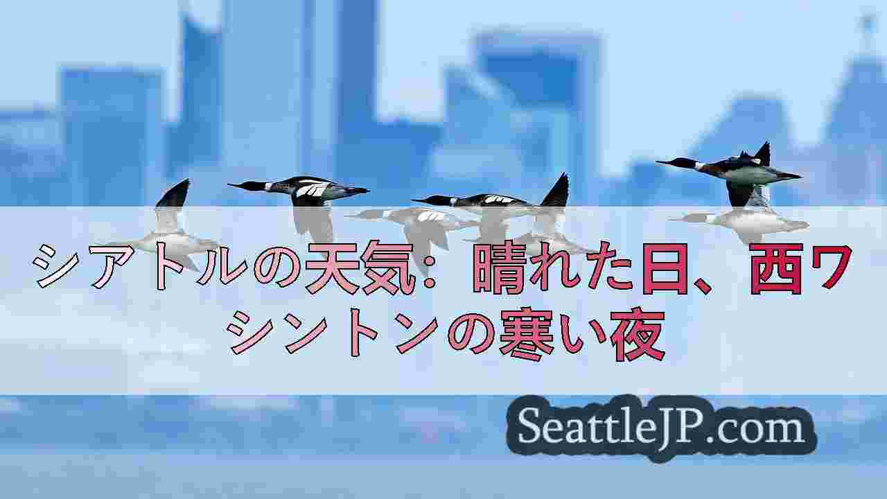 シアトルニュース SeattleJP