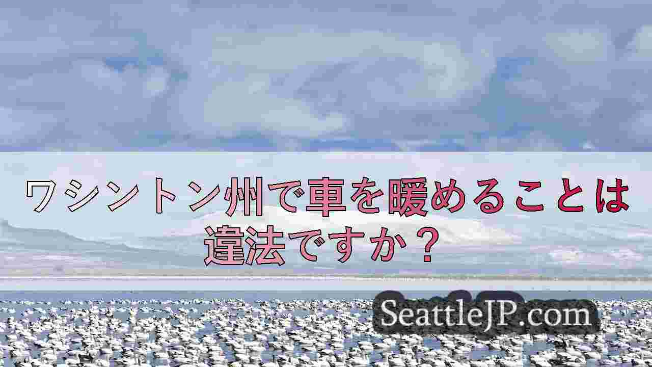 シアトルニュース SeattleJP