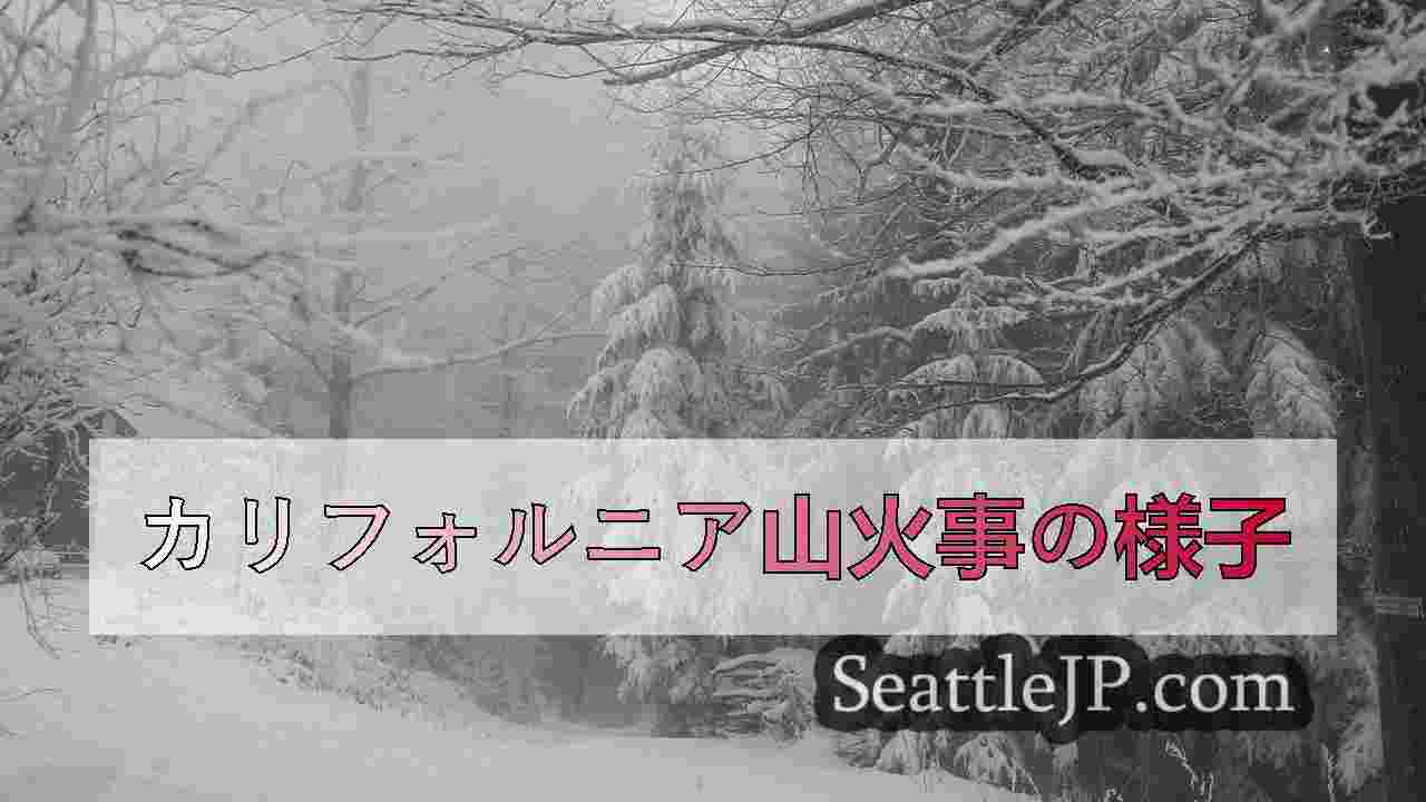 シアトルニュース SeattleJP