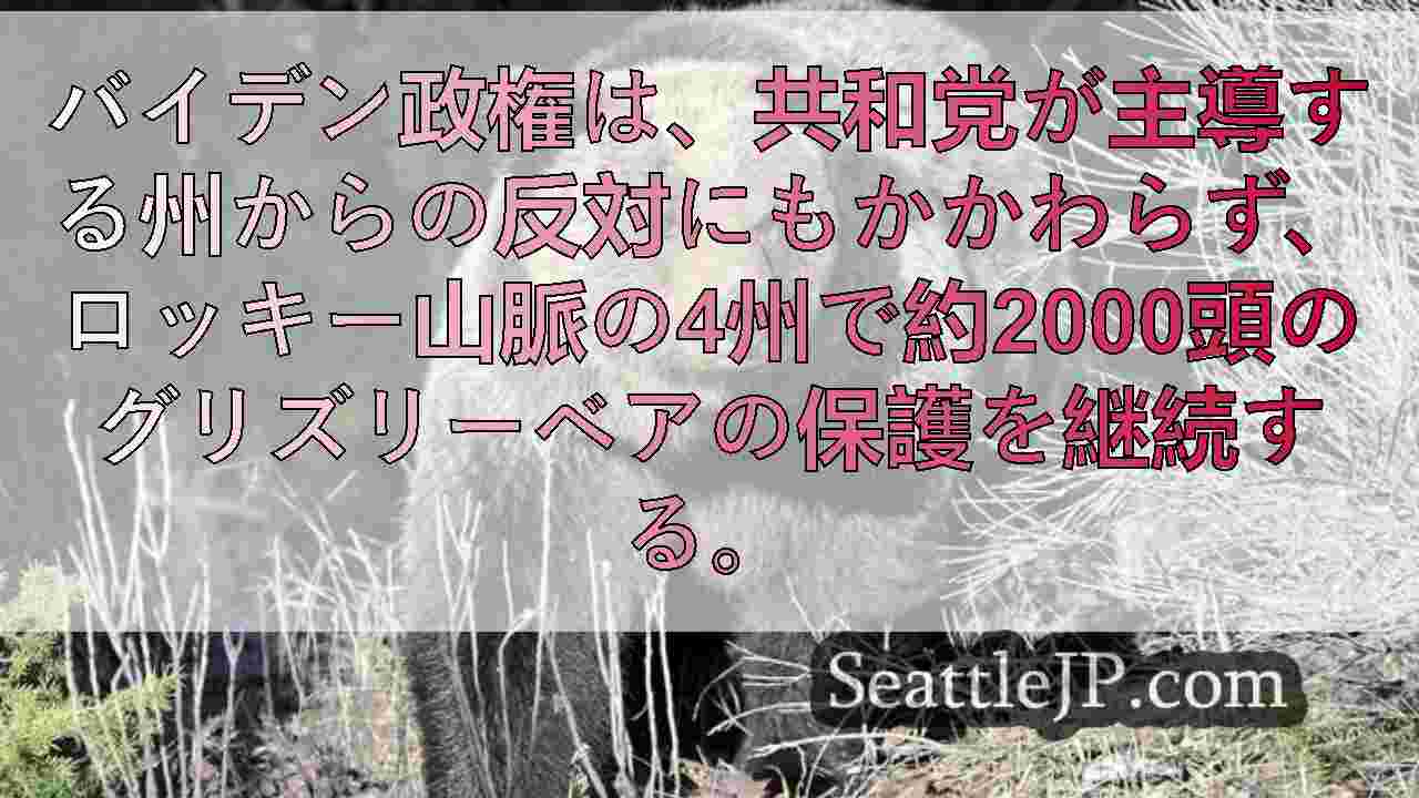 シアトルニュース SeattleJP