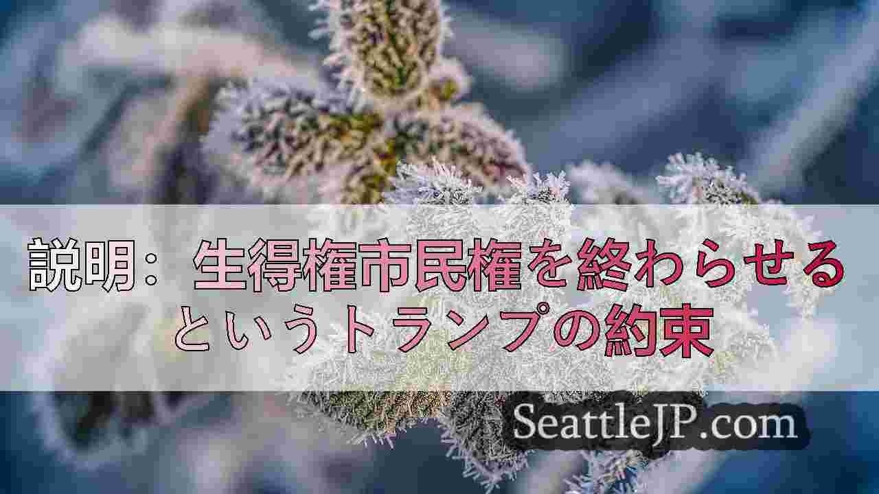 シアトルニュース SeattleJP