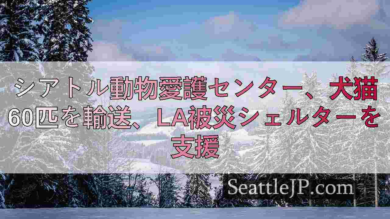 シアトルニュース SeattleJP