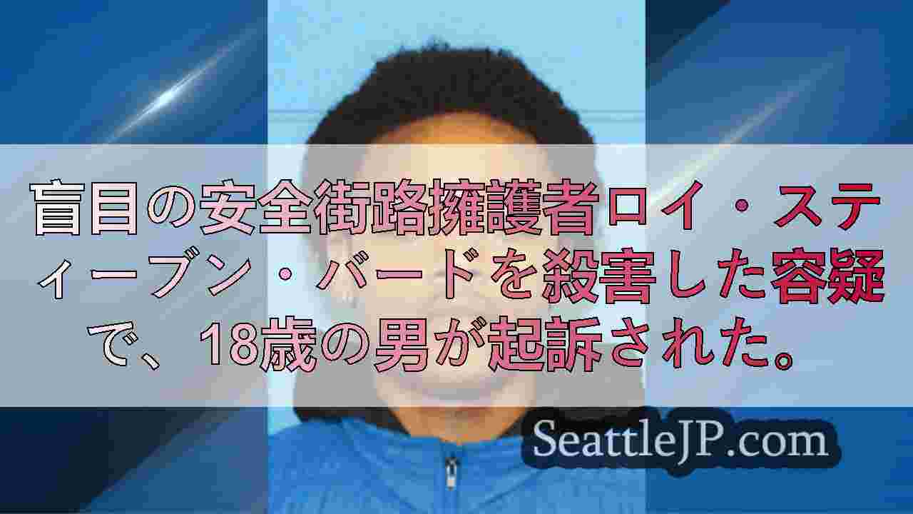 18歳、盲目の安全道路擁護者殺害容疑で起訴