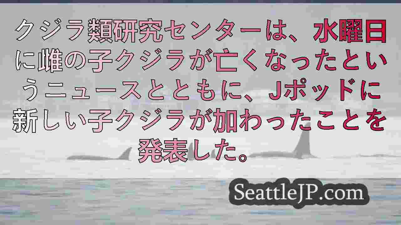 シアトルニュース SeattleJP