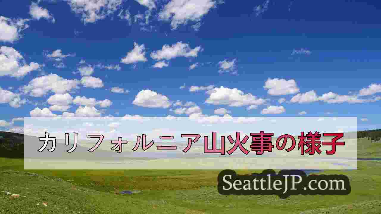 シアトルニュース SeattleJP