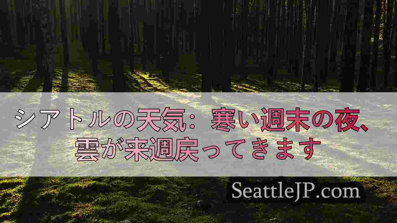 シアトルニュース SeattleJP
