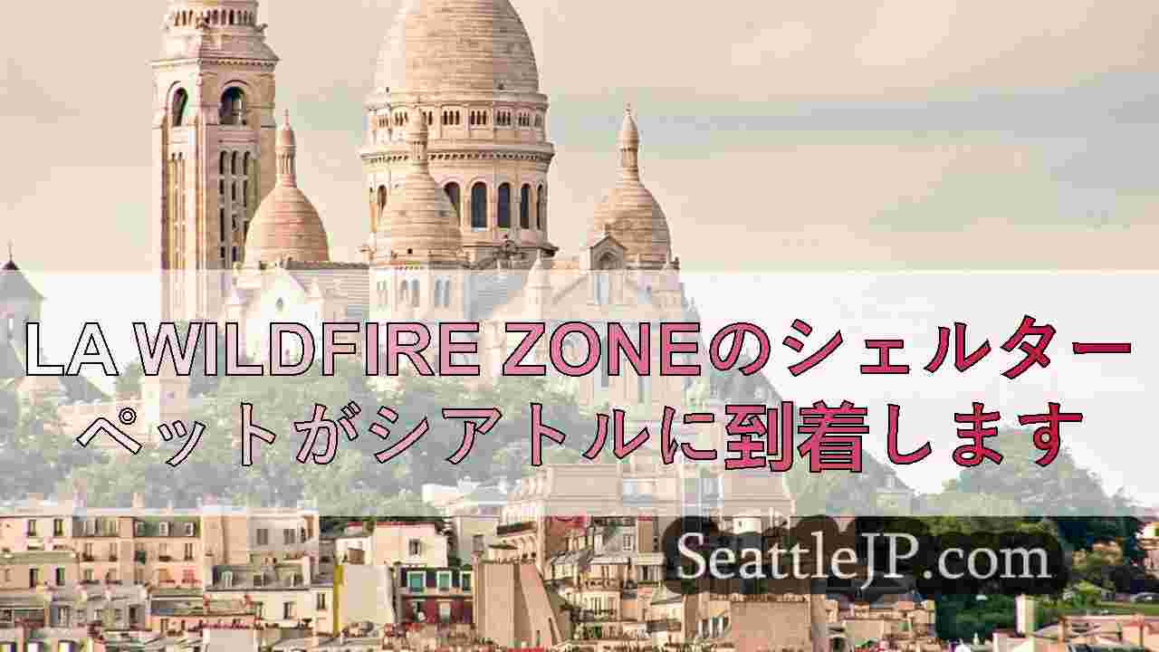 シアトルニュース SeattleJP