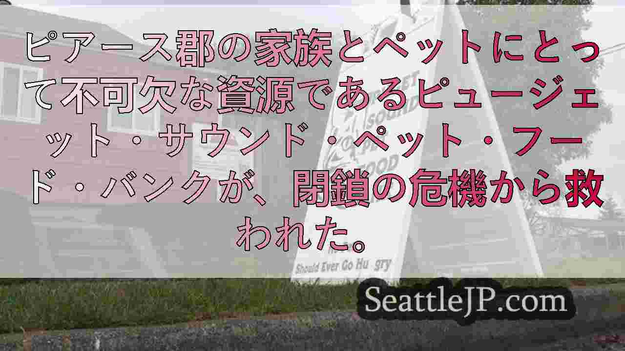 シアトルニュース SeattleJP