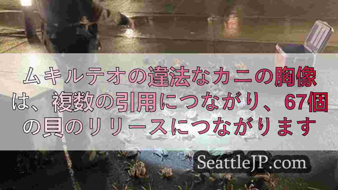 ムキルテオの違法なカニの胸像は、複数の引用につながり、67個の貝のリリースにつな