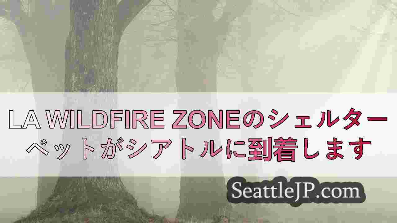 シアトルニュース SeattleJP