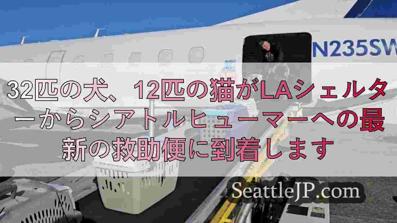32匹の犬、12匹の猫がLAシェルターからシアトルヒューマーへの最新の救助便に到