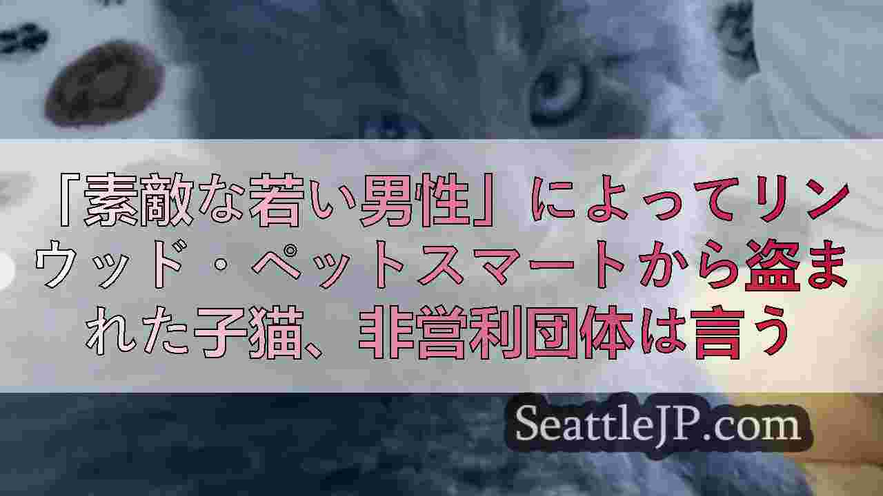 シアトルニュース SeattleJP
