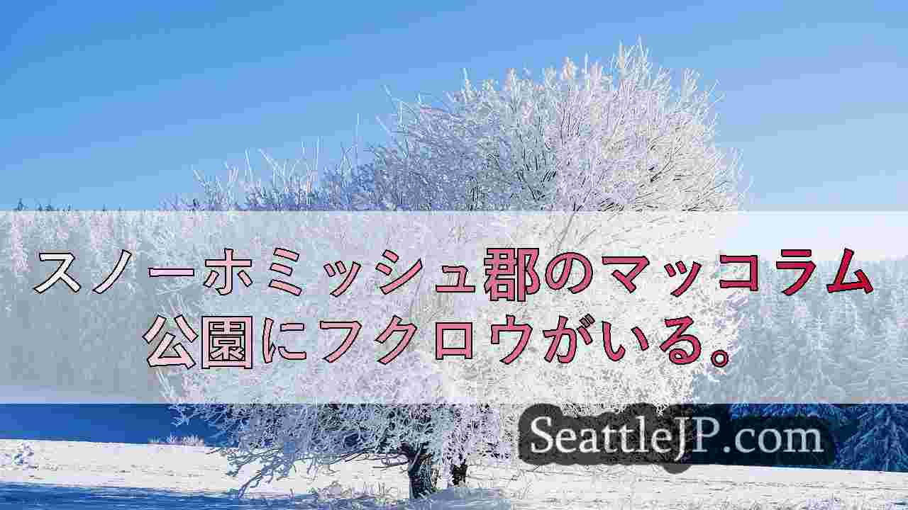 シアトルニュース SeattleJP