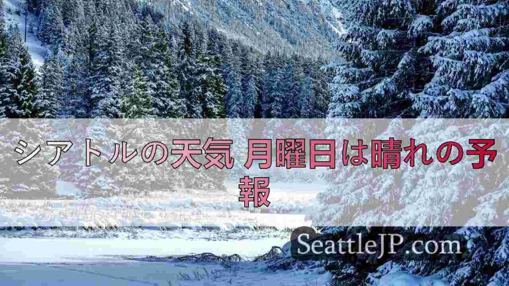 今週のシアトルは1月の美しい日差しとほぼ乾燥した天候