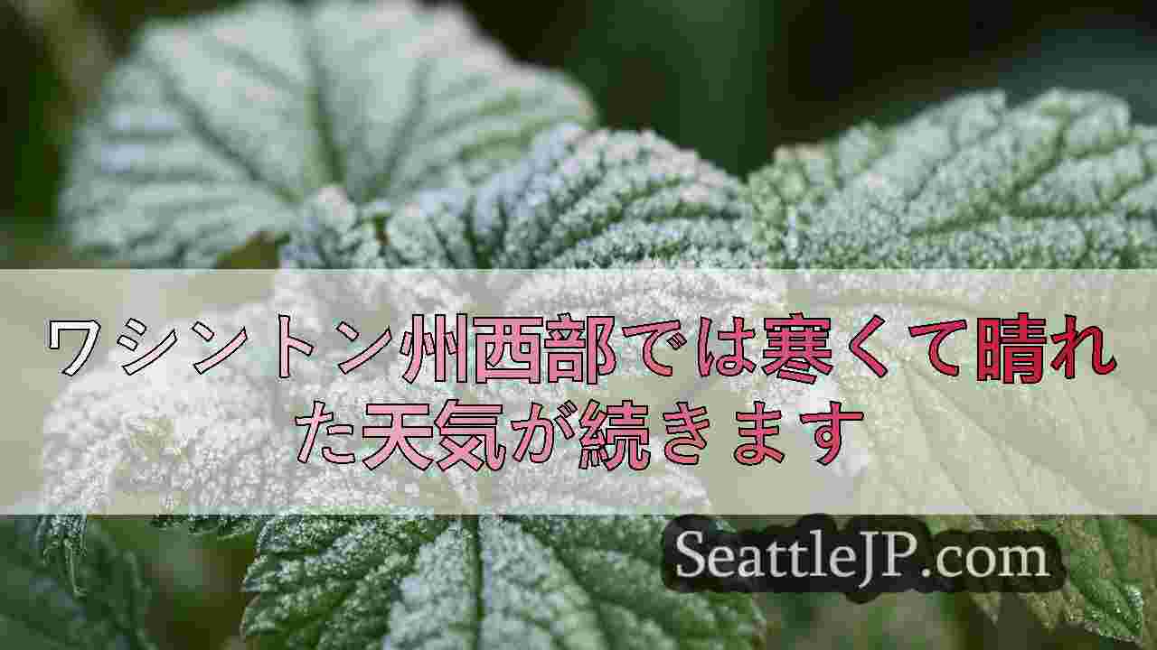 シアトルニュース SeattleJP