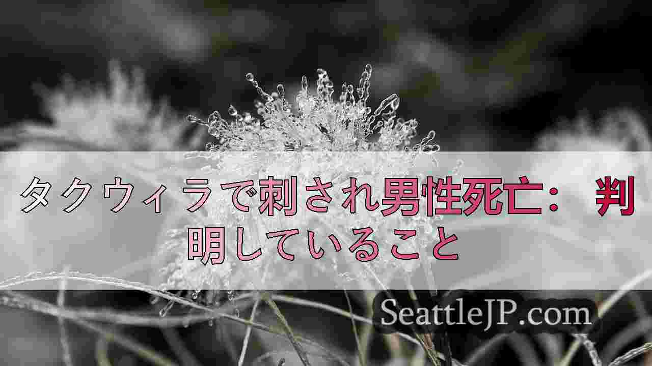 シアトルニュース SeattleJP