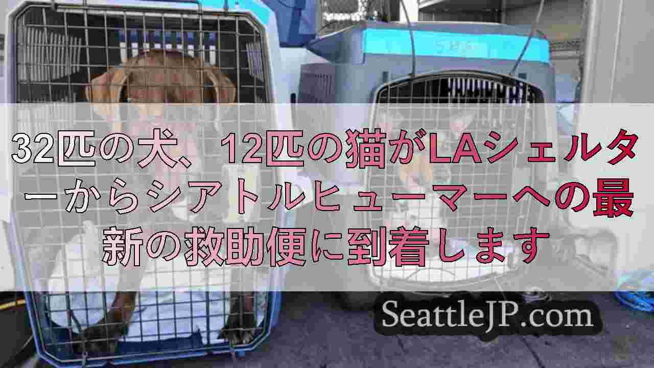 シアトルニュース SeattleJP