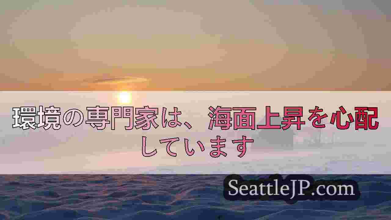 シアトルニュース SeattleJP