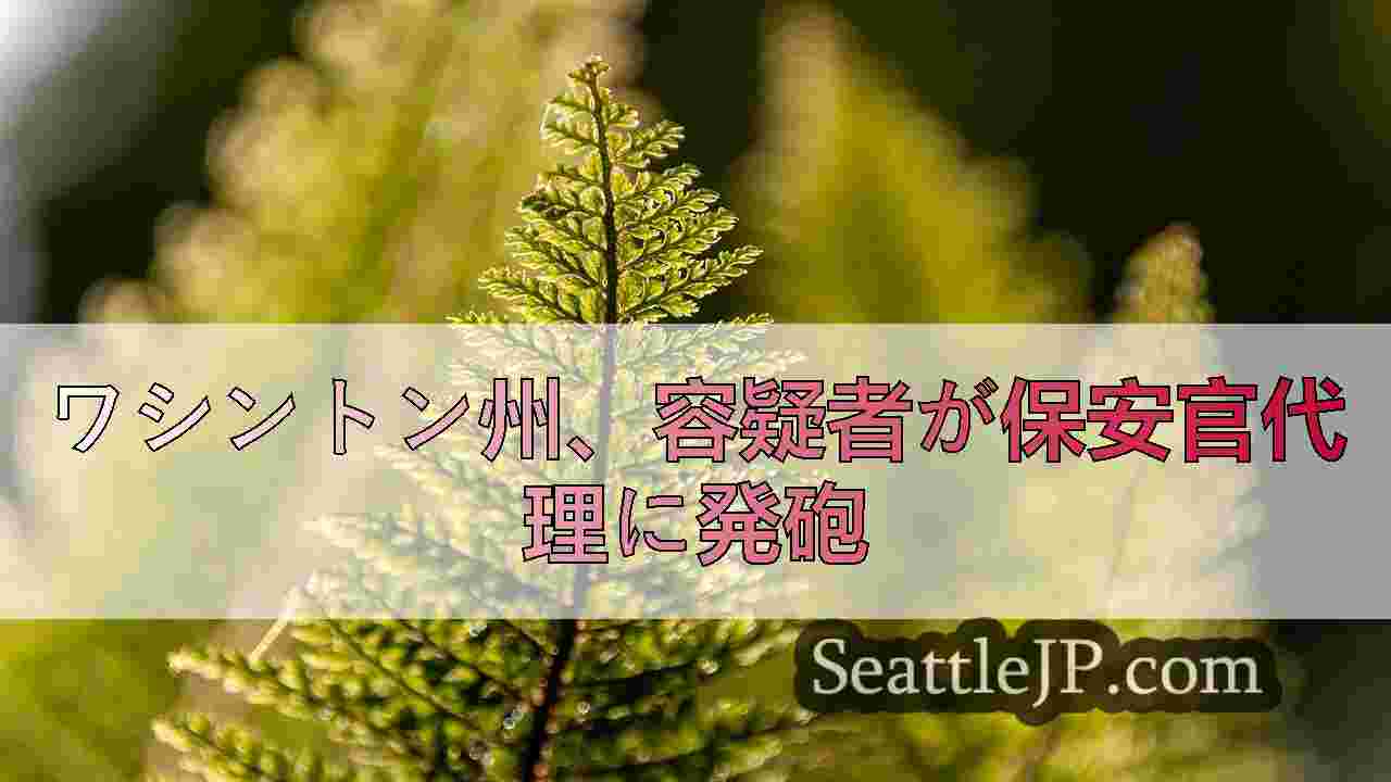 シアトルニュース SeattleJP