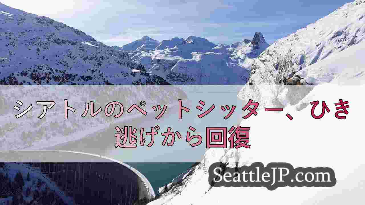 シアトルニュース SeattleJP