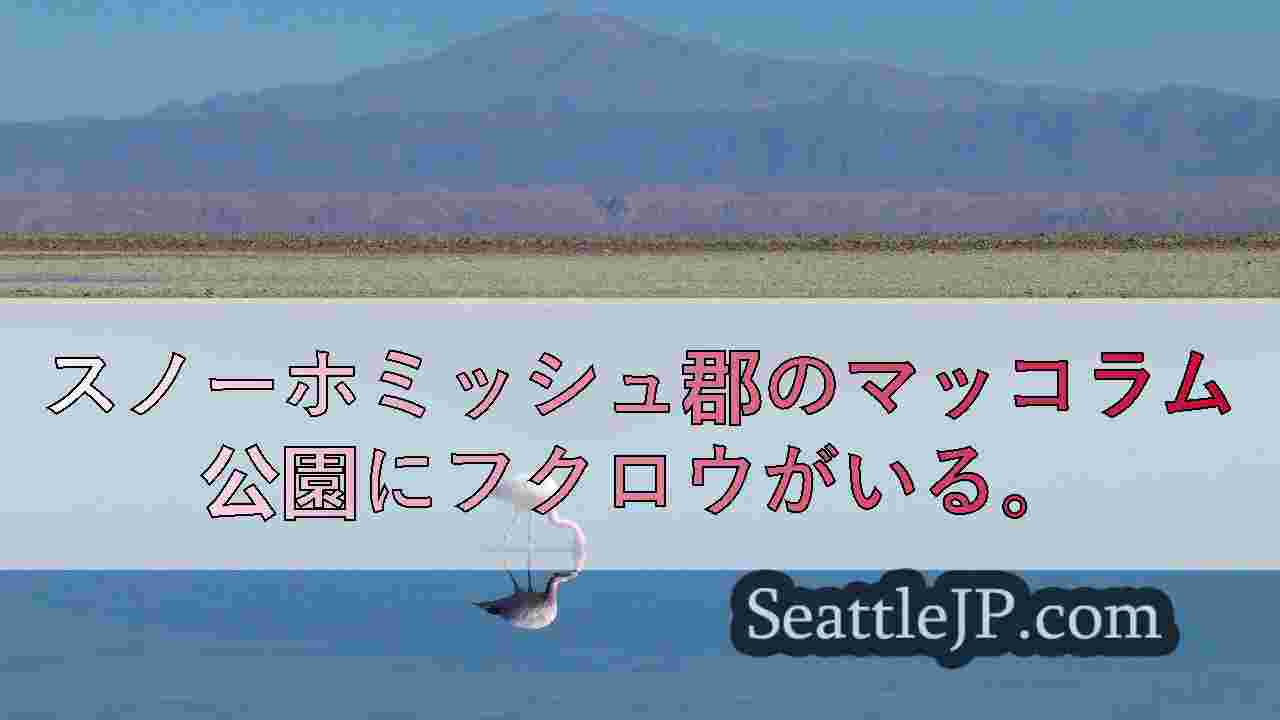 シアトルニュース SeattleJP