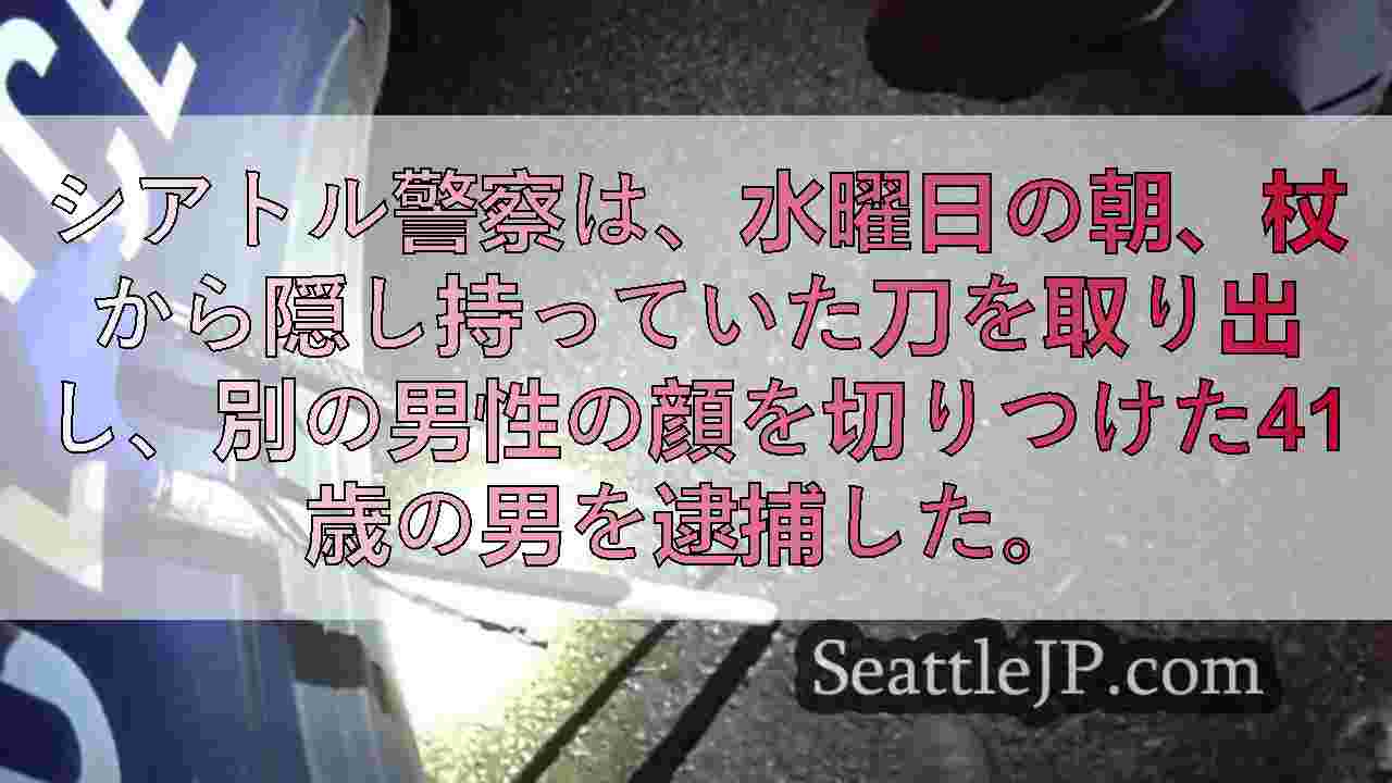 シアトル刀剣乱射事件の容疑者、BMX型バイクで逃走後公園で逮捕
