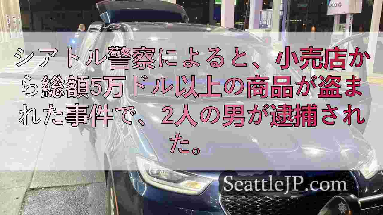 REIとルルレモンを狙った5万ドルの小売店窃盗事件で2人の男を逮捕