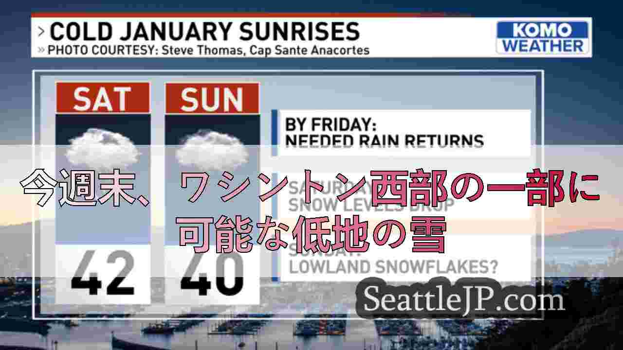 シアトルニュース SeattleJP