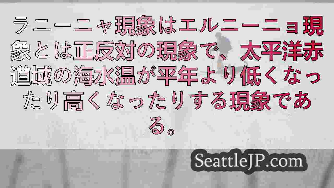 シアトルニュース SeattleJP