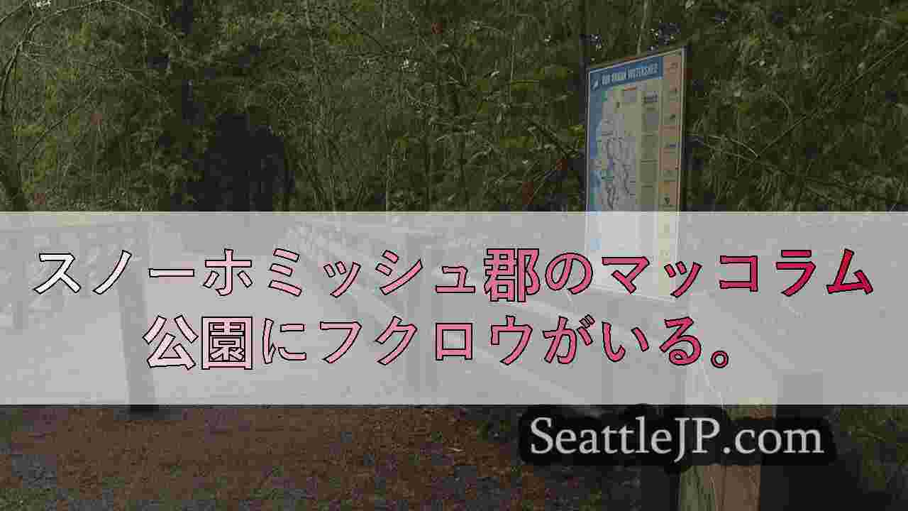 スノホミッシュ郡のフクロウ、公園利用者に飛び込み爆撃