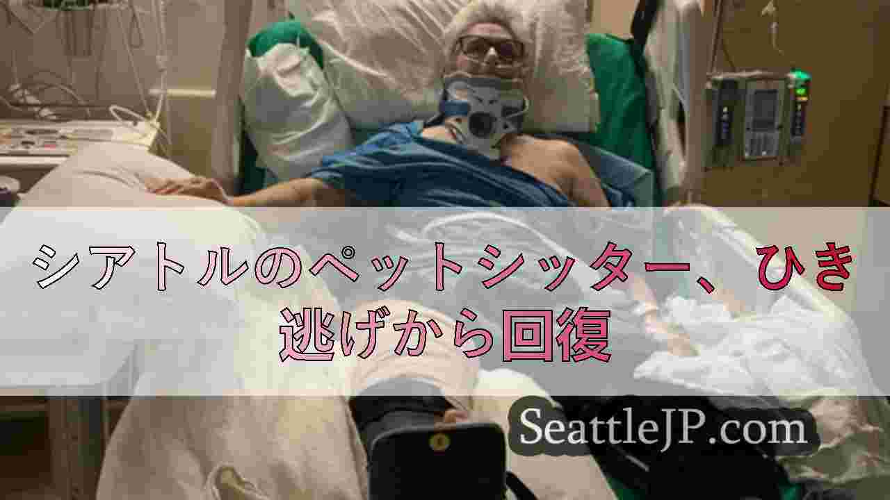 プロのペットシッター、猫の散歩中にひき逃げに遭う