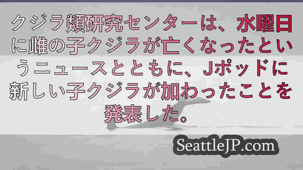 シアトルニュース SeattleJP
