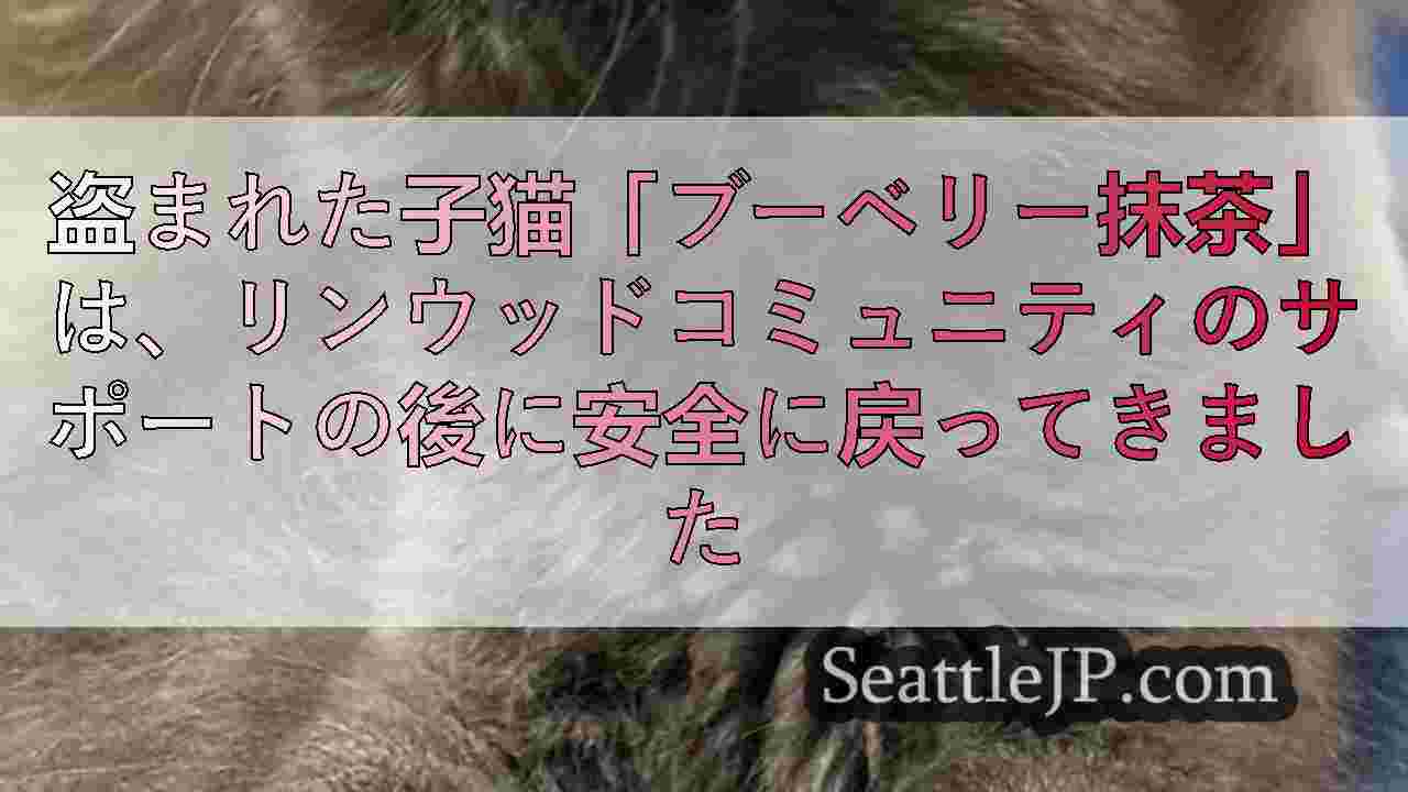 シアトルニュース SeattleJP