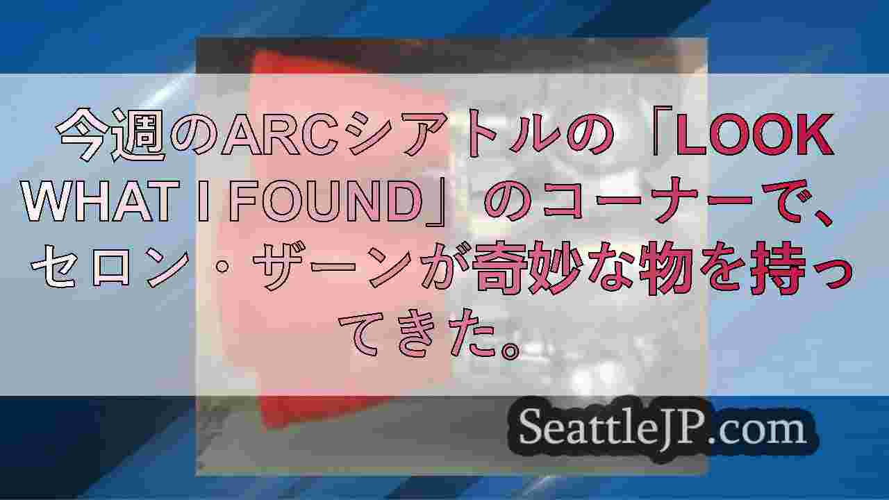 私が見つけたもの この奇妙な物体は何だろう？