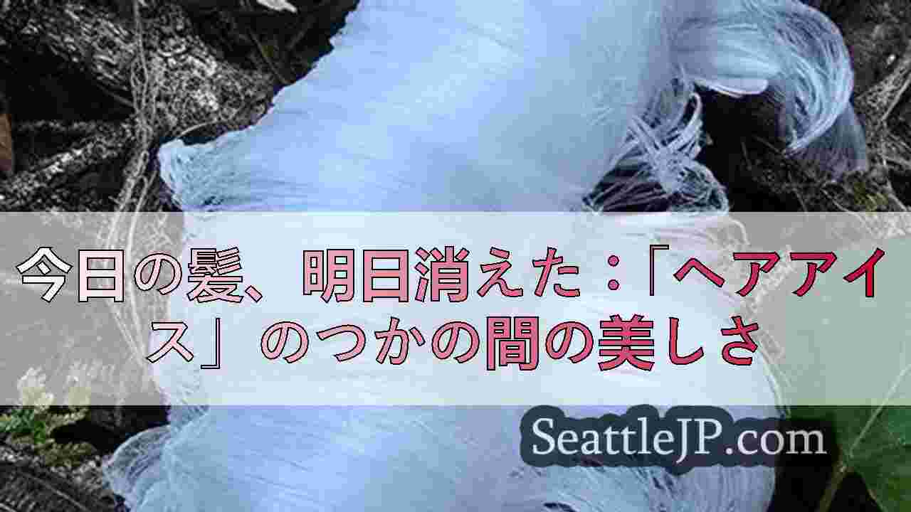 シアトルニュース SeattleJP