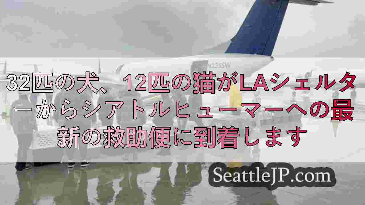 シアトルニュース SeattleJP