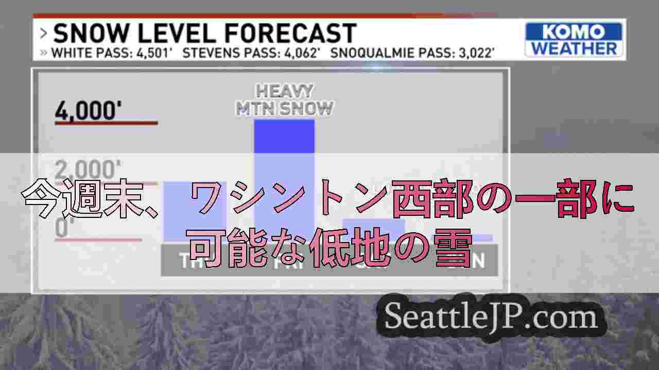シアトルニュース SeattleJP