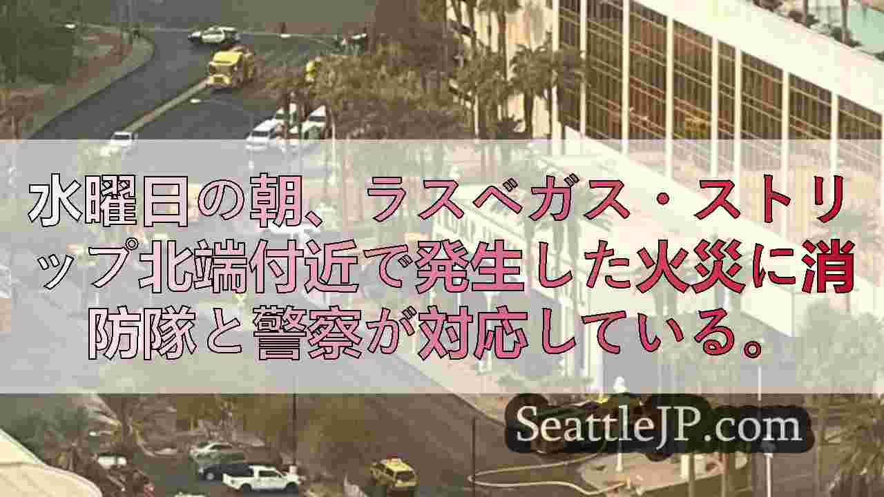 シアトルニュース SeattleJP