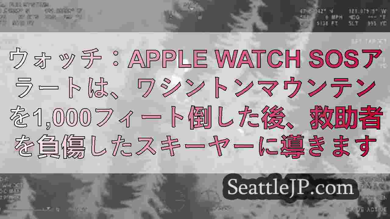 ウォッチ：Apple Watch