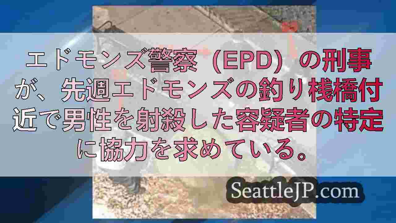 シアトルニュース SeattleJP