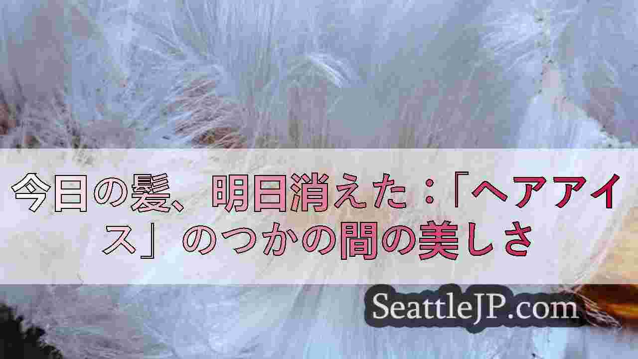 シアトルニュース SeattleJP