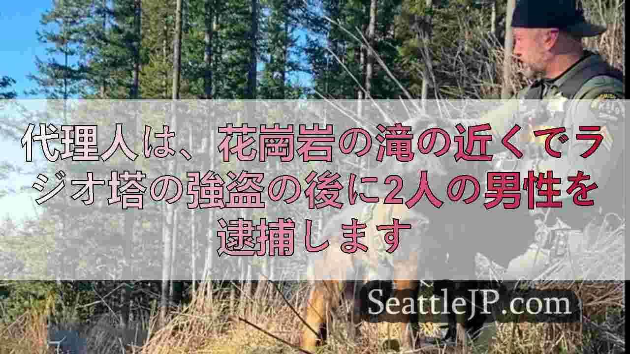 代理人は、花崗岩の滝の近くでラジオ塔の強盗の後に2人の男性を逮捕します