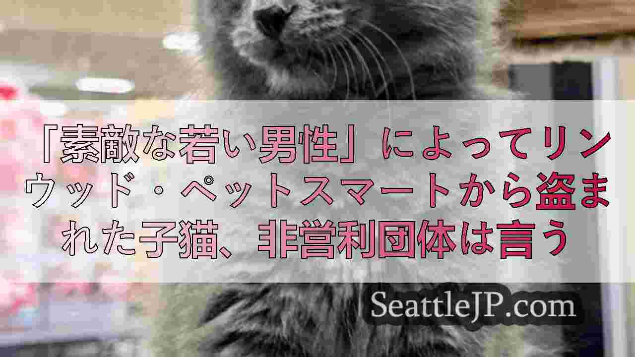 シアトルニュース SeattleJP