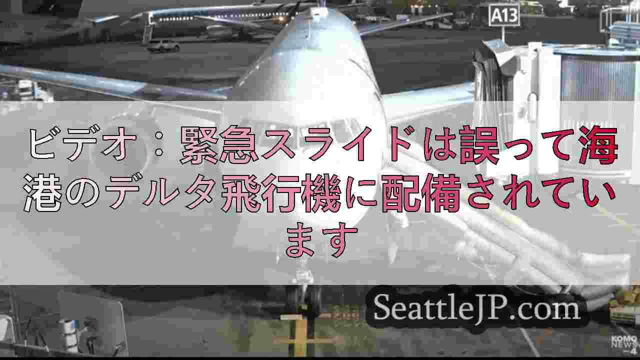 ビデオ：緊急スライドは誤って海港のデルタ飛行機に配備されています