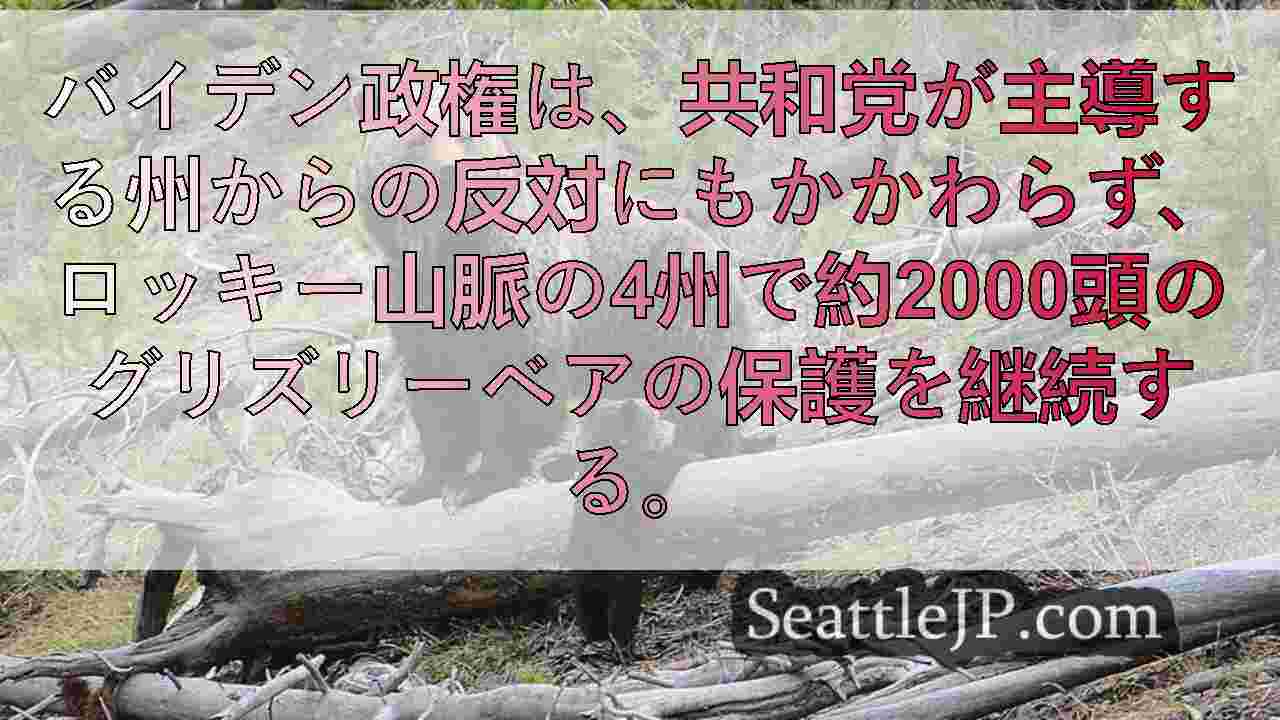 米国は2,000頭以上のロッキー山脈のグリズリーベアを保護し続ける